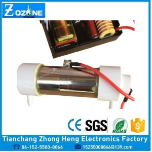 60HZ 1000mg/Hr Ozone Resistant Hose Generator Ozone Quartz Tube