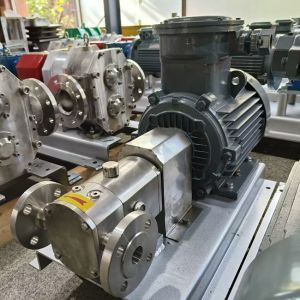 China SS316 Sanitary Stainless Steel Lobe Pump High Viscosity 11-55KW on sale