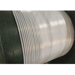 Encapsulated Tubing Hydraulic Control Line And Chemical Injection Line