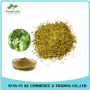 Best Selling Natural Yerba Mate Extract Polyphenol Tannin acid