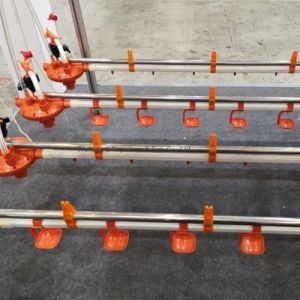 0.75kw Closed System Of Feeding In Poultry