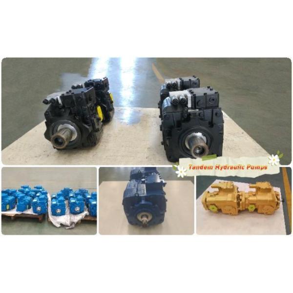 Agricultural machinery hydraulic tandem pump