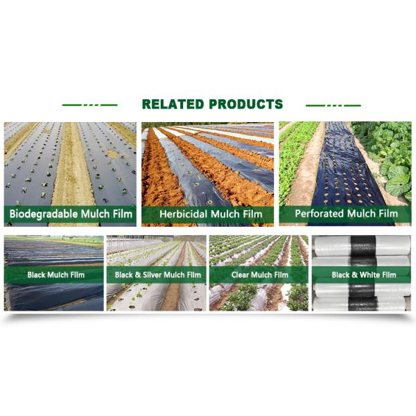 Agricultural plastic film Black&Silver Mulch film