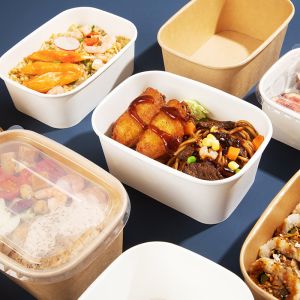 Waterproof disposable biodegradable Kraft Food Grade Paper Customized Printing