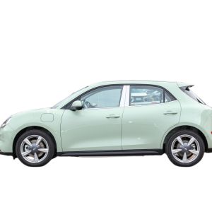 hot-selling 2022 Euler the good cat new energy car Pure electric 143 horsepower