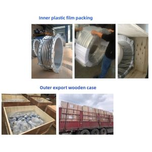 Rubber Sprayed Epoxy Resin Carbon Steel Metal Flexible Expansion Bellow