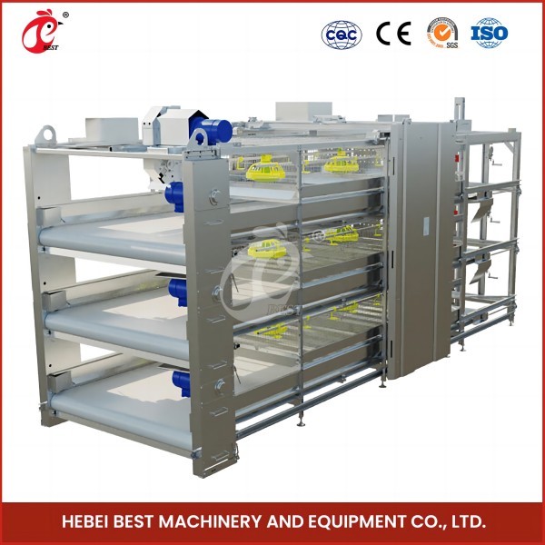 12 Cells Layer Battery Cage System For Commercial Chicken Farm Rose