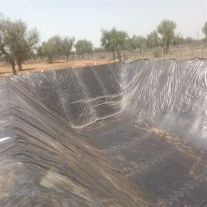 Professional HDPE Geomembranes for Landfill and Fish Farming Applications