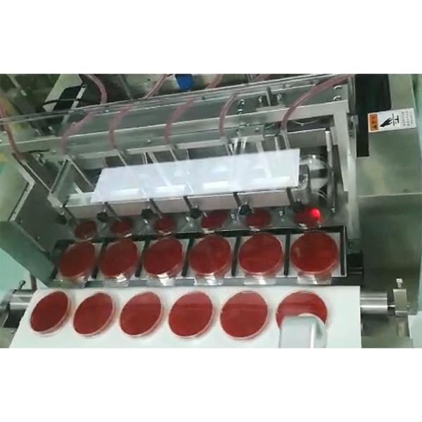 8000BPH Automatic Pharma Aseptic Petri Dish Filling Machine