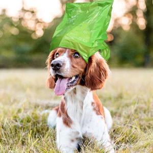 certified compostable dog waste bags with easy-tie handles