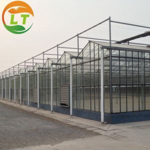 8m Transparent Glass Solar Greenhouse For Efficiently Produce Tomatoes