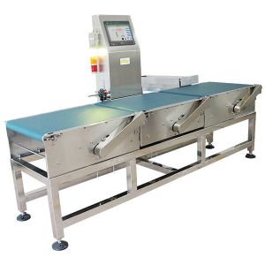 Eletronics Industry Automatic Checkweigher / Conveyor Weight Scale Machine