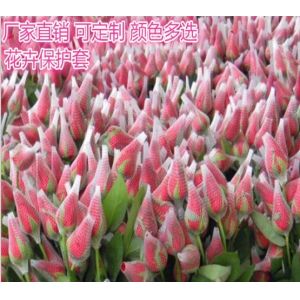 Mesh Packaging Sleeves White PE Extruded Rose Protection Bud Net