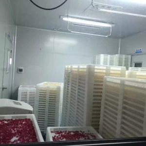 Pharmaceutical Industry Soft Gel Capsule Machine SS316 Machine Material