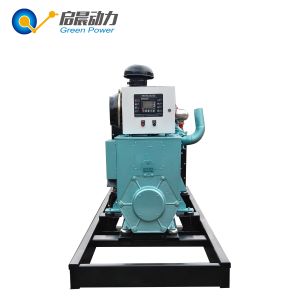 10-800KW Natural Gas Generator Price