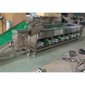 Onion Sorting Machine, Onion Grading Machine, Onion Grader Machine, Sorter