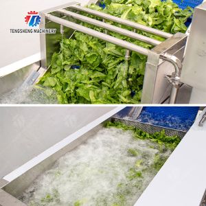 Vegetables bubble washing machine Wash Washer Washing Cleaning processing