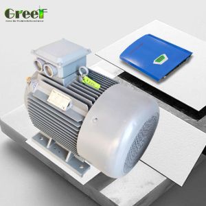 Customized Magnet Size Permanent Magnet Generator with Insulating Resistance of