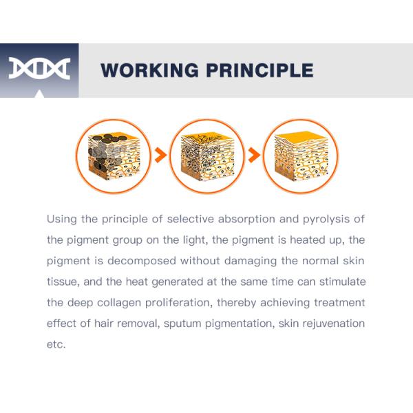 Portable E-light Photon Skin Rejuvenation IPL OPT permanent Hair Removal Machine 2 in 1