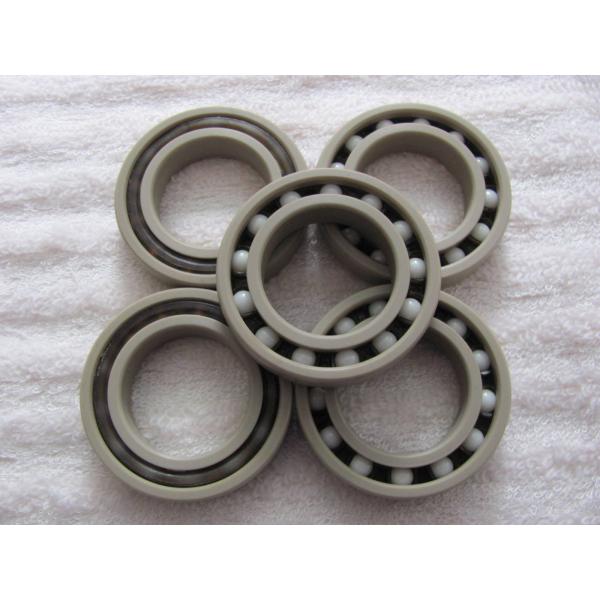 Plastic Plain Bearings 260℃ Working Temperature Peek Ball Bearings