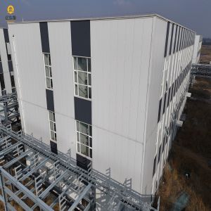 Multi Storey Large Span Customized Prefabricated Steel Structure Warehouse