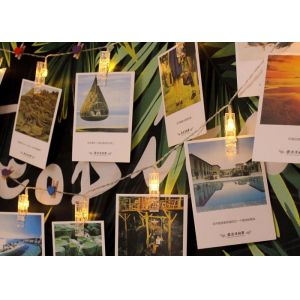 LED Photo String Lights With Clips , Home Decor String Lights Pure Copper Wire