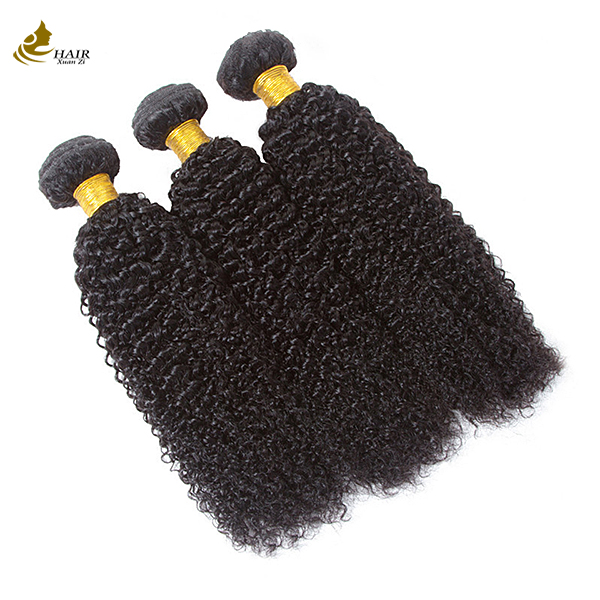 Kinky Beauty Supply Hair Bundles Unprocessed 100 Brazilian Human Hair bundles