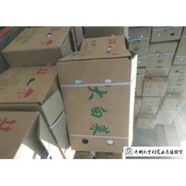 Frozen Vegetable Factory Napa Cabbage Plant Can Lower Blood Pressure