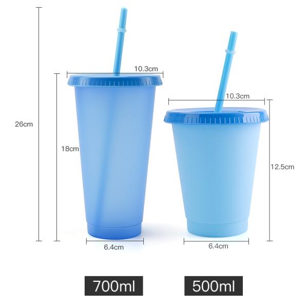 10 Oz Insulated Vacuum Tumbler Mug PP Cold Color Changing Party Cups Set 5pcs/Sets Juice Mugs