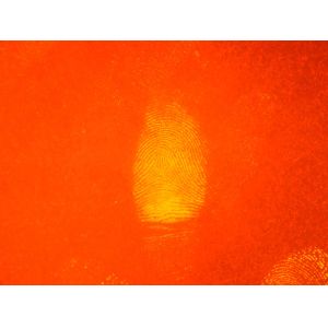 C017 DFO stock solution