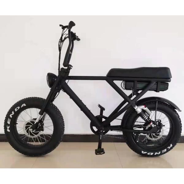 Disc Brake Electric Bike 2022 Version Snow Beach Fast Speed Customized E Bicycle 2 Seats