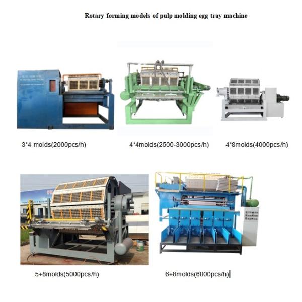 Enviroment Friendly Eggs Packaging Paper Egg Tray Machine / Pulp Molding