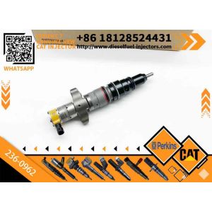 Diesel Injector 387-9427 263-8216 263-8218 236-0962 10r-7221 for cat E324D 325D
