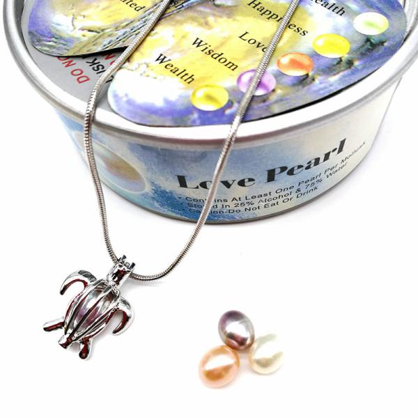 Pearl Cage Pendant Essential Oil Diffuser Jewelry Making Accessories DIY Necklace For Unisex Gift