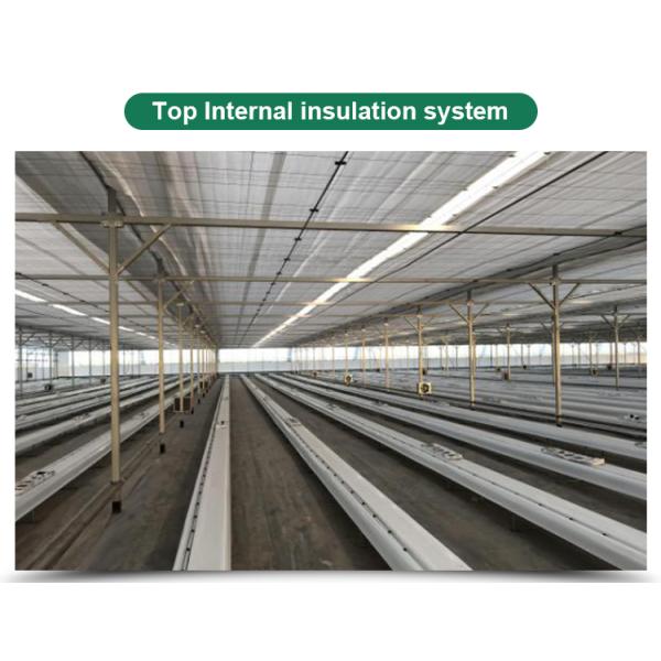 Automatical Controlling System Galvanized Steel Frame Film Greenhouse for Agriculture