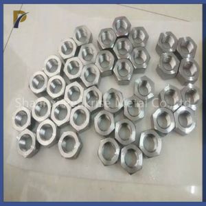 Process Tantalum Standard Parts Tantalum Bolts Screws Nuts
