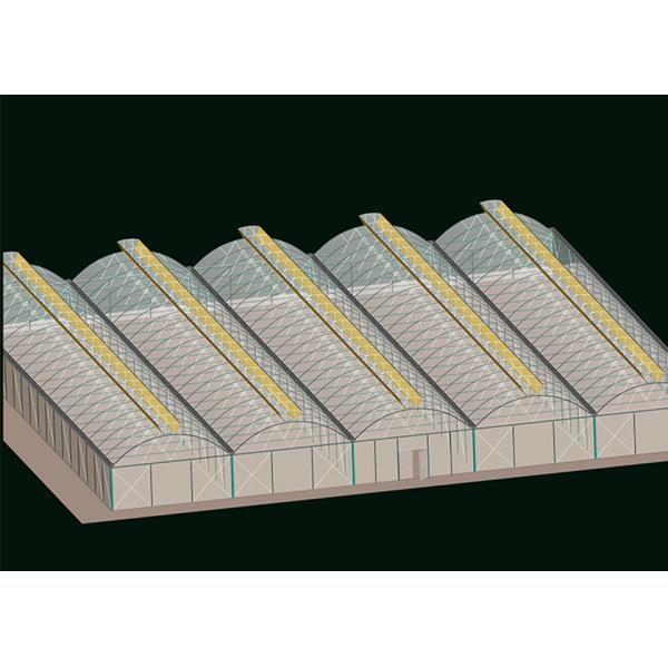 Transparent Reliable Clear Plastic Green House Poly Greenhouse Kits