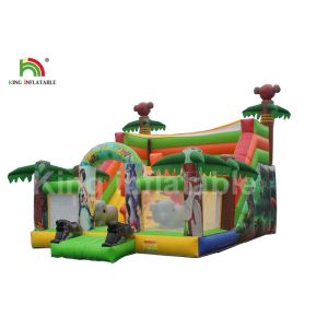 Cartoon Printing Kids Amusement Inflatable Jumping Castle With Double Lane