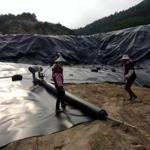Graphic Design Capability 100% Virgin HDPE Geomembrane for Build Fish and Shrimp