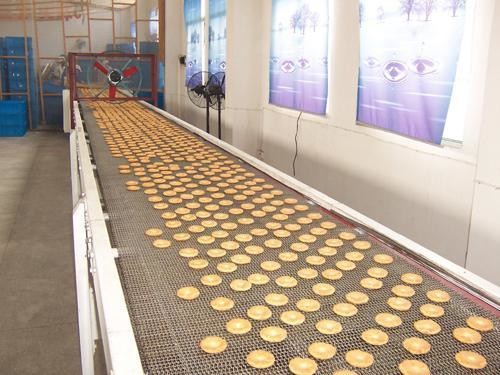 Buy                  Equipment Conveyor for Beverage Industry with ISO Certificate              at wholesale prices