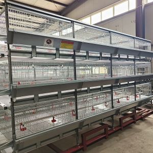 China Poultry Equipment Broiler Chicken Cage 100kg Load Bearing Not Broken on sale