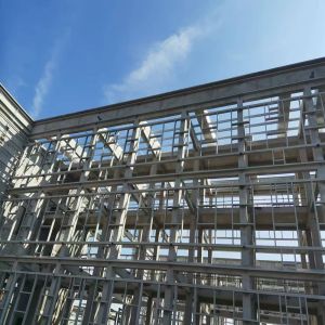 Weather-Resistant Steel Structure Factory Building