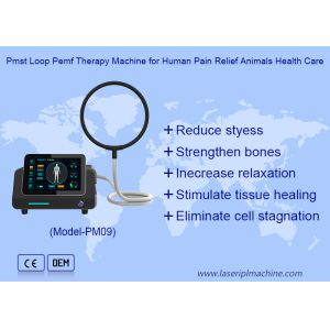 Portable Magnetic Therapy Loop High Intensity Physio Magnetic Machine