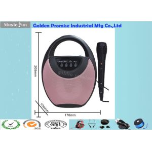 ROHS Microphone Large Portable Bluetooth Speaker With Fm Radio and usb