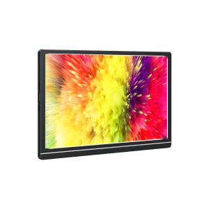 HDMI Type C 178 Degree Viewing Angle 10.1 Inch Portable USB Screen