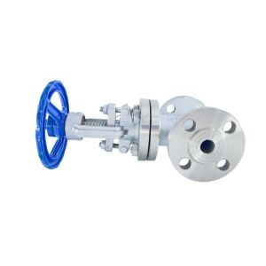 Dark Stem Function SS304 316 Stainless Steel Flange Gate Valve Oed Customized