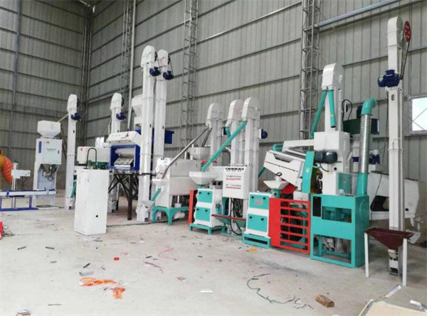 Buy Quinoa processing line, quinoa peeling machine, quinoa saponin removing machine at wholesale prices