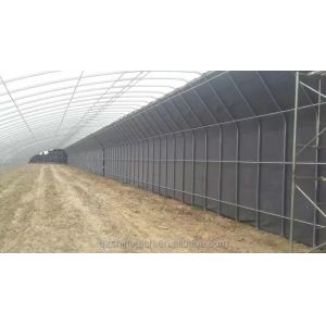 Film Covered Solar Greenhouse for Sustainable Winter Cucumber Cultivation