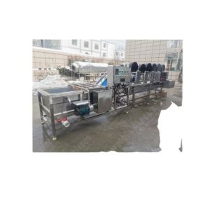 FUSHI lemon processing line orange fruit sorting washing drying waxing machine