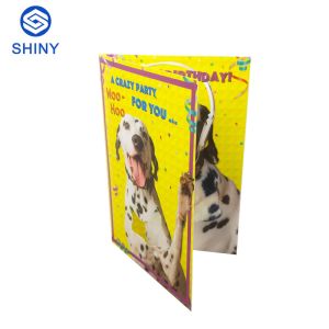 Custom Printing Musical Greeting Card Handmade With Mp4 Player